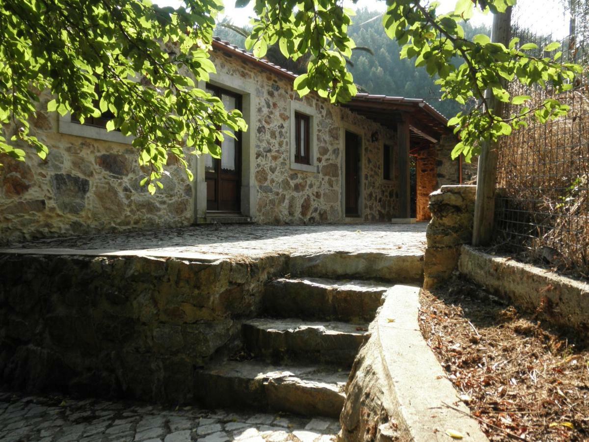 Villa Casa Velha à Figueiro Dos Vinhos Extérieur photo